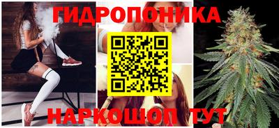 хмурый Дубна